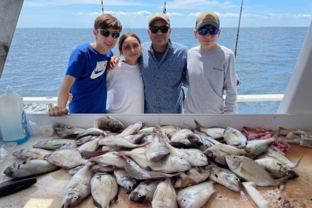 a group of fish in the water