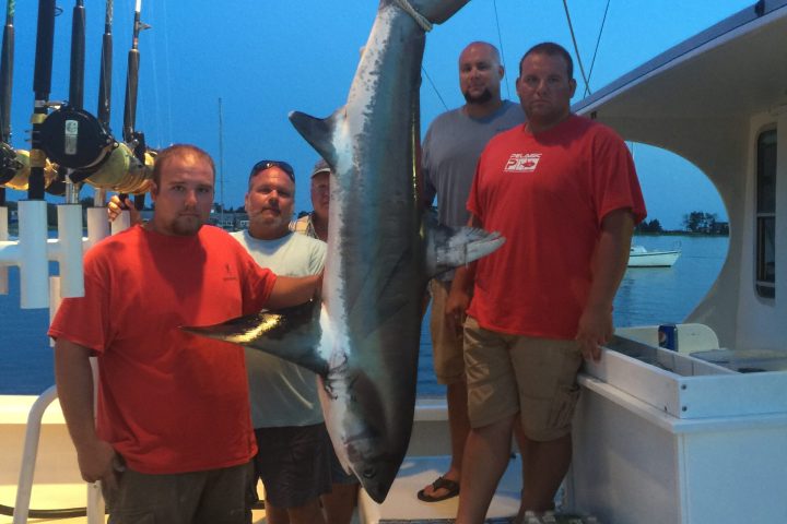 a group of people that are standing in the water